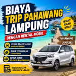 Jalan Ke Pantai Sari Ringgung Lebih Praktis Pakai Mobil